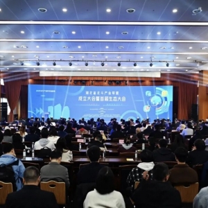 引领气象变革新纪元：国内首个北斗低空气象协同创新中心正式启动 ...